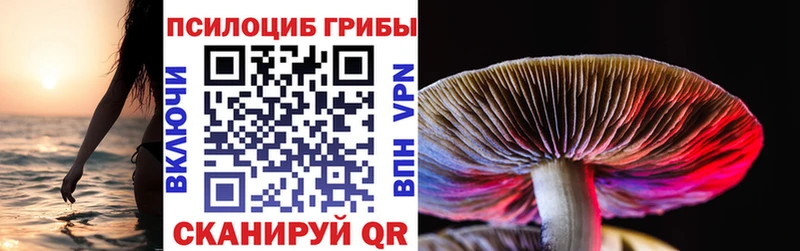 Галлюциногенные грибы Cubensis наркошоп Прохладный